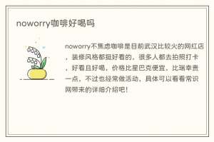 noworry咖啡好喝吗