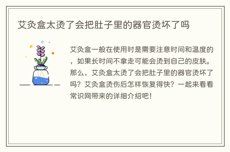 艾灸盒太烫了会把肚子里的器官烫坏了吗